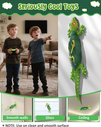 Wall Crawler Gecko